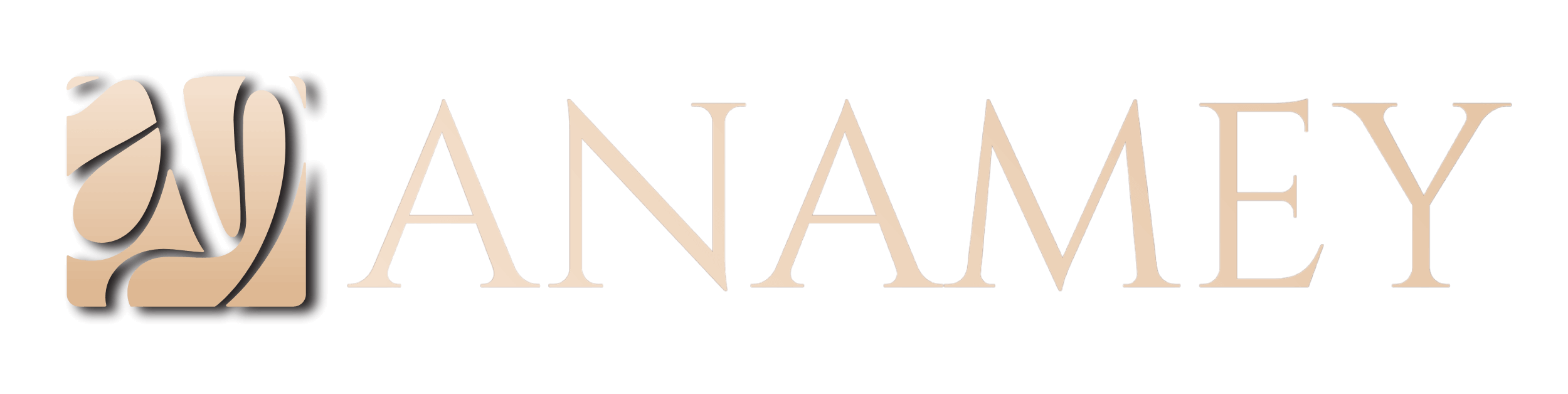 Logo 2 Anamey