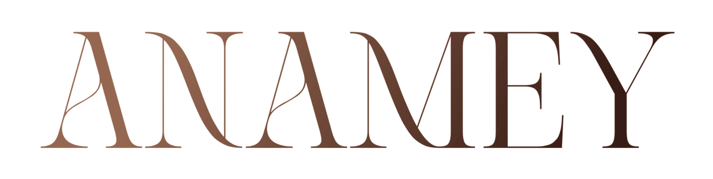 Logo simple Anamey